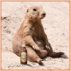 Prairie Dog