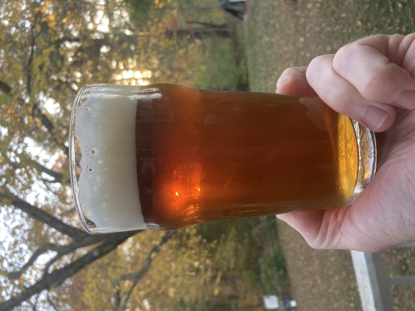 beer recipe photo